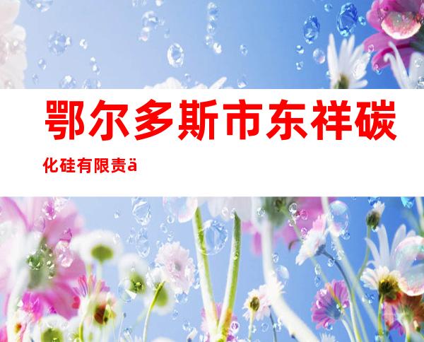 鄂尔多斯市东祥碳化硅有限责任公司