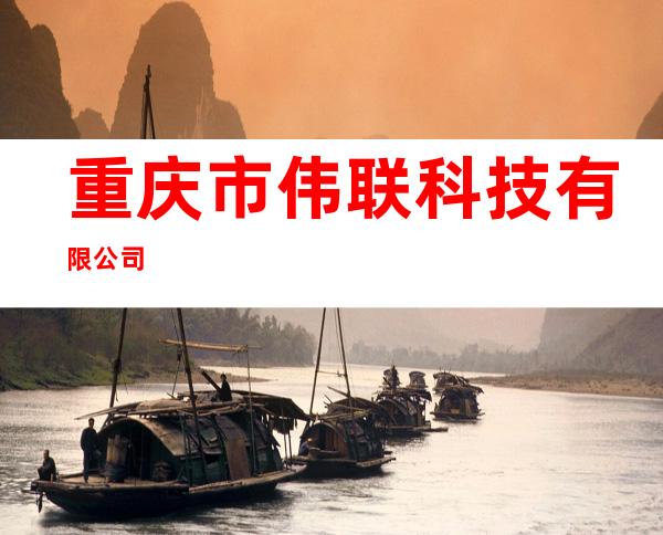 重庆市伟联科技有限公司