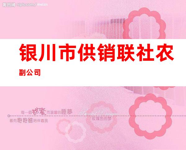 银川市供销联社农副公司