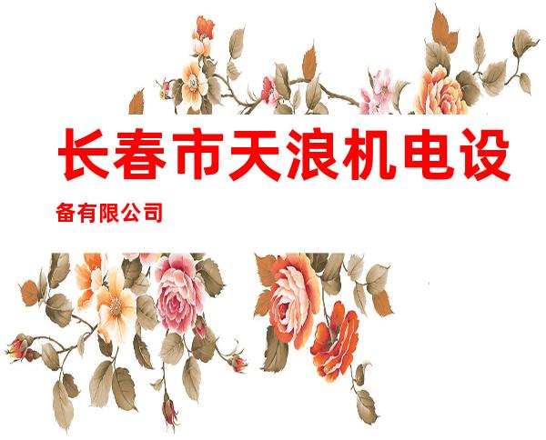 长春市天浪机电设备有限公司