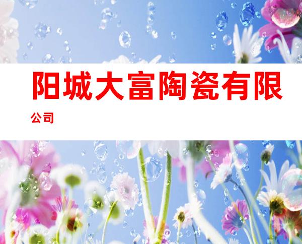 阳城大富陶瓷有限公司
