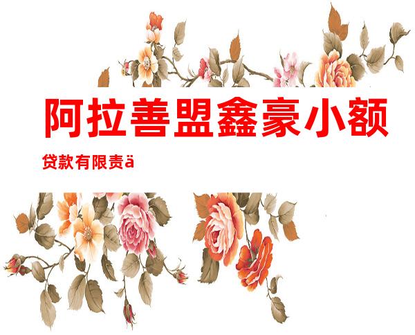 阿拉善盟鑫豪小额贷款有限责任公司