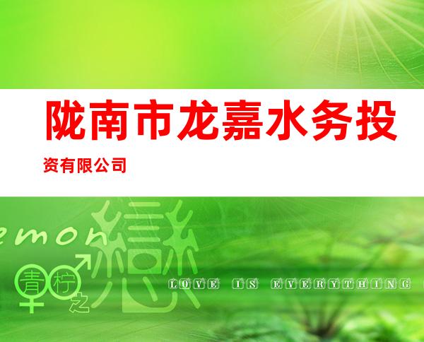 陇南市龙嘉水务投资有限公司