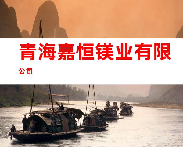 青海嘉恒镁业有限公司
