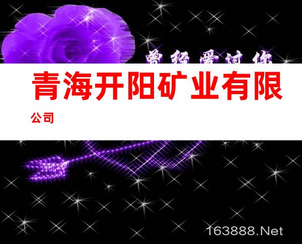 青海开阳矿业有限公司