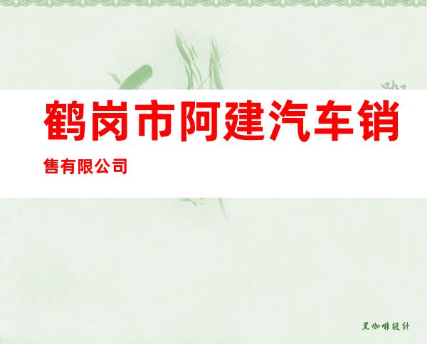鹤岗市阿建汽车销售有限公司