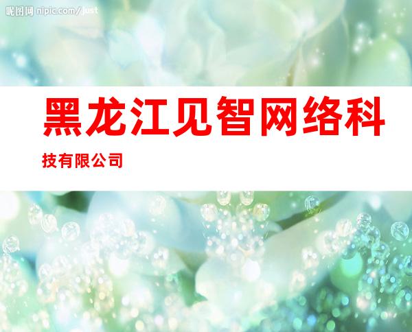 黑龙江见智网络科技有限公司